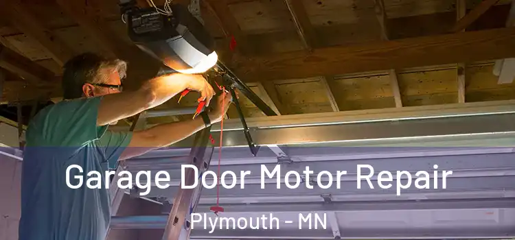  Garage Door Motor Repair Plymouth - MN