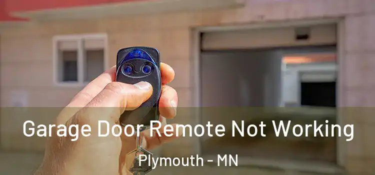  Garage Door Remote Not Working Plymouth - MN