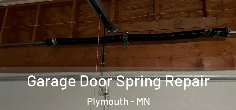  Garage Door Spring Repair Plymouth - MN