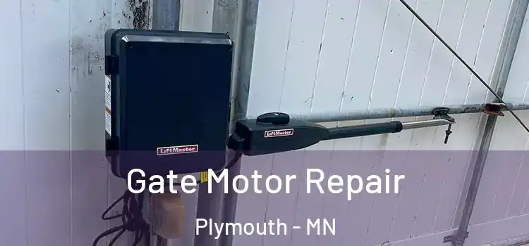 Gate Motor Repair Plymouth - MN
