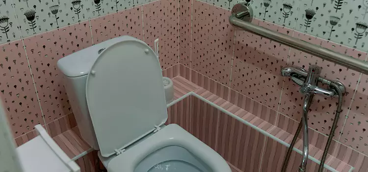 Meeting Diverse Needs With Accessible Restroom Solutions in Plymouth, MN